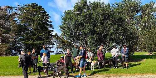 Hobsonville Point Coastal Walk from Catalina Cafe 