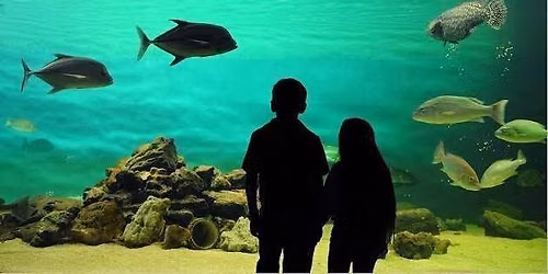 SOBA Presents: Free Tour of the Hatchery at Sea Center