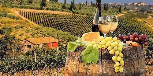 Under the Tuscan Sun: Exploring the Wines of Tuscany