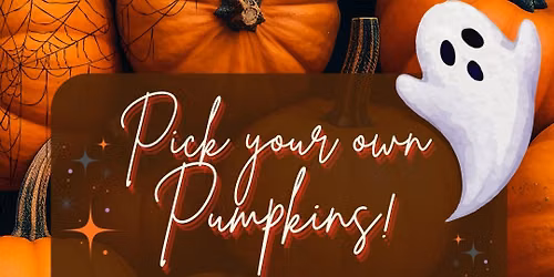 Pick your own pumpkins \ud83c\udf83