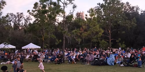 FOUR ELEMENTS FESTIVAL WITH LIVE MUSIC BY ELEMENTS