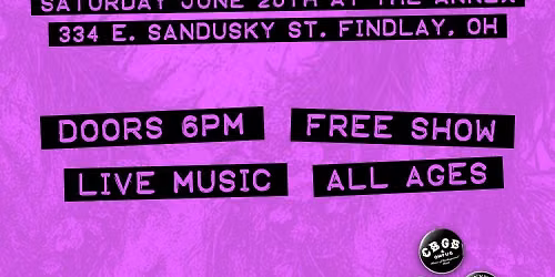Punk with Purpose: A Benefit for NAMI Hancock County