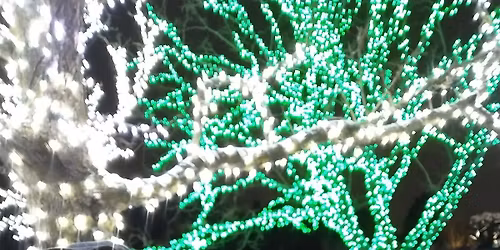 Coco and Fancy at Fox's Oak Lawn