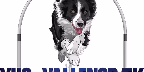 VHS Hoopers stævne - November 2025