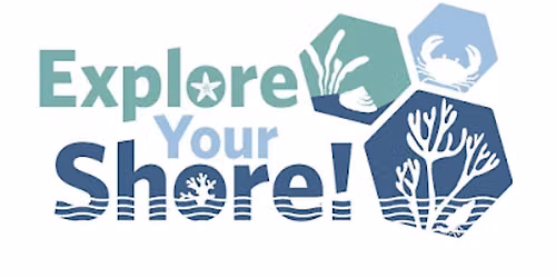 Explore your Shore and Find out More!