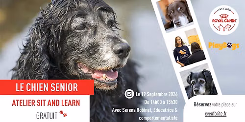Atelier Sit & Learn - Chien S\u00e9nior