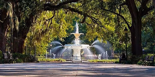 Birds of Forsyth: Savannah Clue Hunt