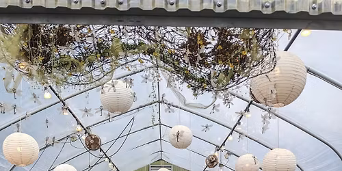 Artists Greenhouse Sale