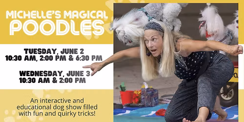 Michelle's Magical Poodles