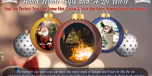 The Lighting of Deep Pond Farm 