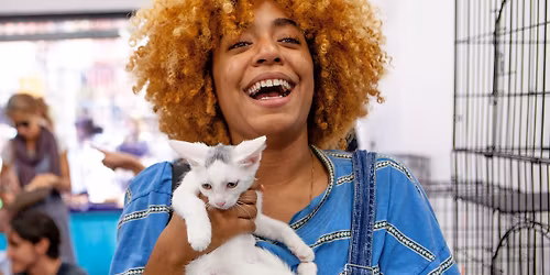 Pet Adoption Pop Up! | Brooklyn Adoption Event | Sponsored by Best Friends Animal Society