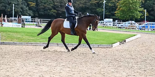 ACE Adult Horse Camp