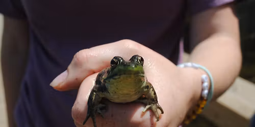 Summer Kick Off at GTCD