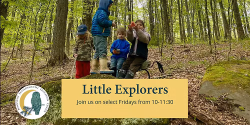 Little Explorers Nature Playgroup