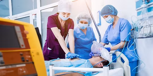 Basic Life Support Provider (CPR)