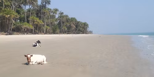 Afryka Zachodnia. Przez cztery pa\u0144stwa, od dzikich pla\u017c po czerwony interior \/ Emilia Grzesik