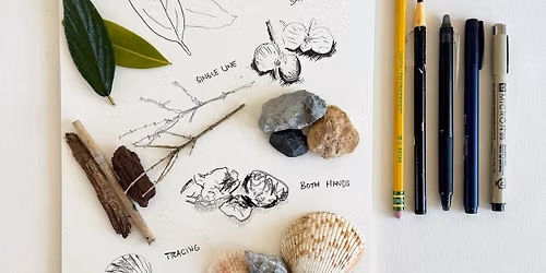 Sketching Nature