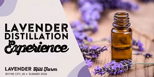Lavender Distillation Experience