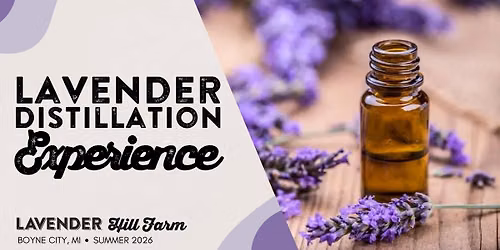 Lavender Distillation Experience