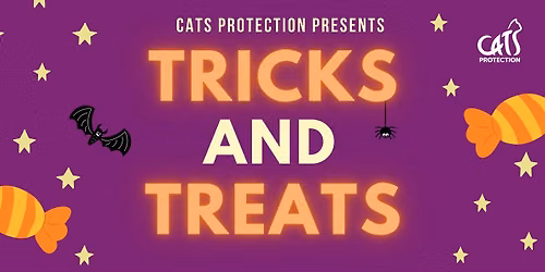 Tricks and Treats: Halloween Fun