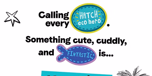 Adopt a HATCHling launch