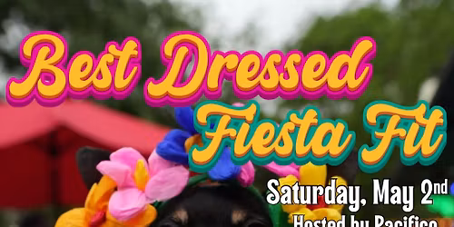 Best Dressed Fiesta Fit