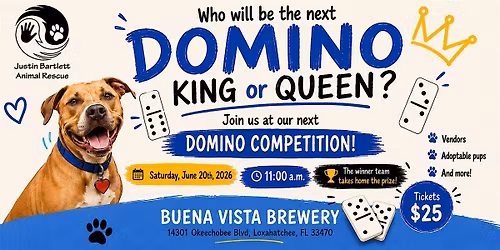 Domino Competition and Adoption Event