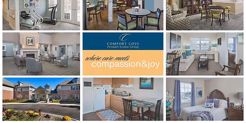 Christmas lights at Hines Park