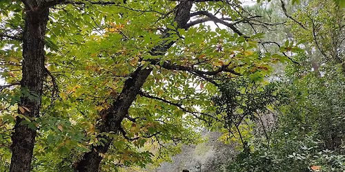 Senderismo y Mindfulness