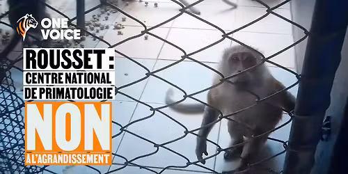 Paris - Non \u00e0 l'agrandissement du CNP de Rousset !