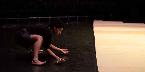 Violetas | V\u00e2nia Doutel Vaz