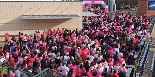 Making Strides Against Breast Cancer Walk