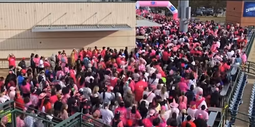 Making Strides Against Breast Cancer Walk