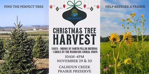 Annual Christmas Tree Harvest