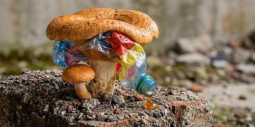 Free Fungi Sculpture workshops at the Fort Shopping Park