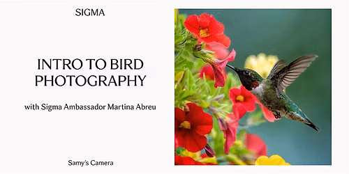 Introduction to Bird Photography with Martina Abreu - Santa Ana
