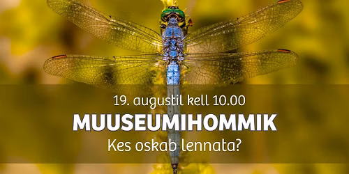 Koolivaheaja muuseumihommik "Kes oskab lennata?"