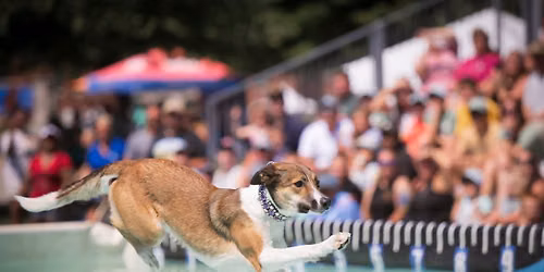 DockDogs\u00ae at the Indiana State Fair | Week 3