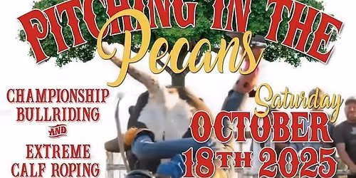 Rodeo and Craft Vendors