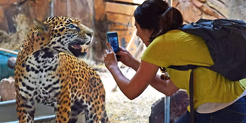 Free Admission for Norristown Borough Residents