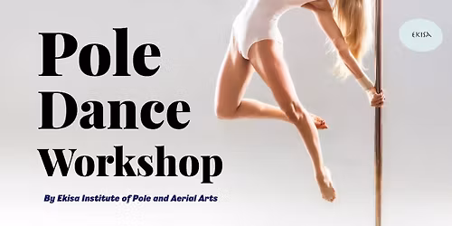 Pole dance beginner workshop