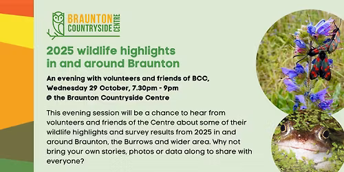 2025 wildlife highlights in and around Braunton