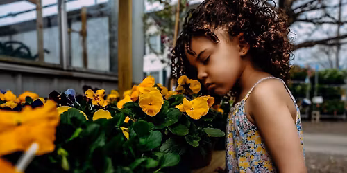 Greenhouse - SUPPORT LOCAL - mini day! 