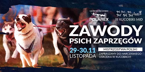 Polarex 3 Kucobski MID Wy\u015bcig Psich Zaprz\u0119g\u00f3w