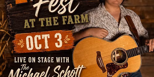 Live On Stage with The Michael Schott Band 