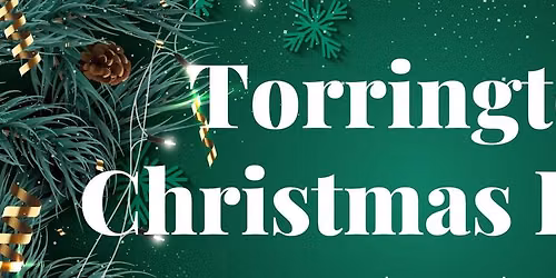 Join Cats Protection Holsworthy, Bideford & Okehampton at the Great Torrington Christmas Fayre!