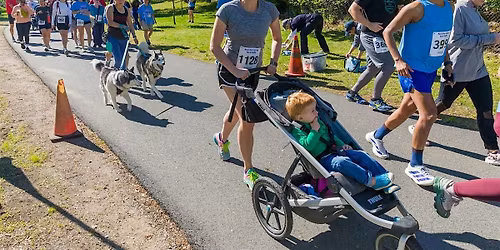 Mystic River Herring Run and Paddle