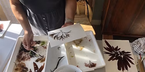 Seaweed Pressing Workshop