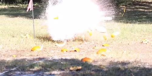 The Great Pumpkin Blowout