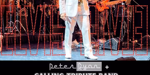 Tribute to the King in Helmond